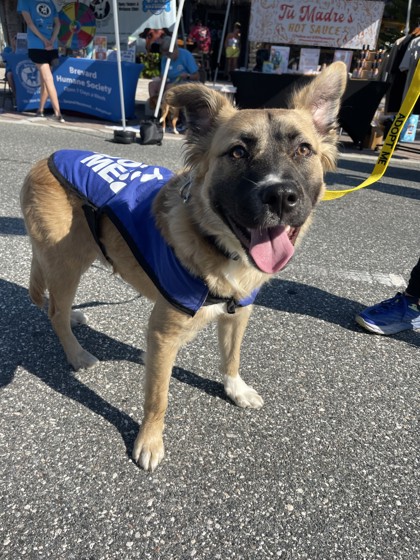 Wilson (Cocoa) photo