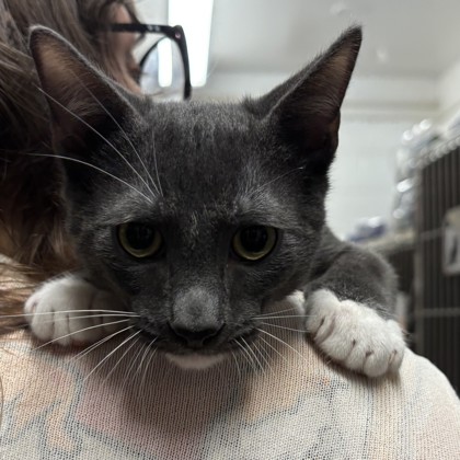 Otis (Merritt Island) photo
