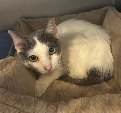 Linda (Angel) (Merritt Island) photo