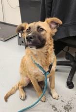 Wilson (Cocoa) photo