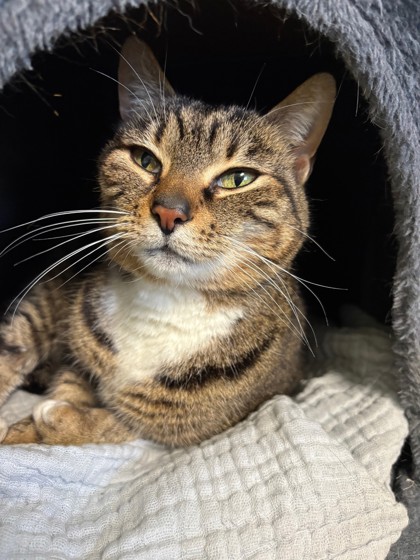 Penelope (Merritt Island) photo