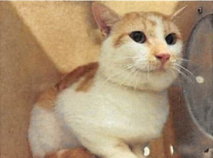 Chris (Merritt Island) photo