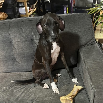 Jason (Cocoa) photo