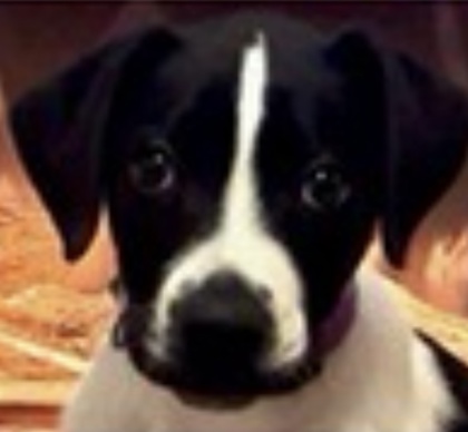 Theodore (Cocoa) photo