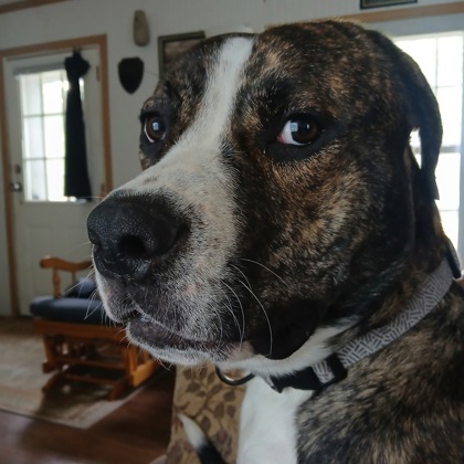 Tucker photo