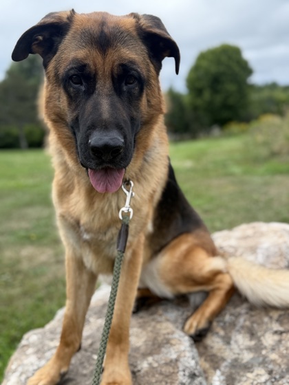 Loki photo