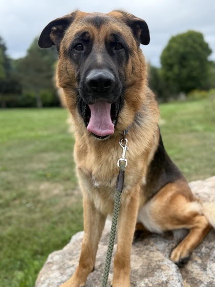 Loki photo