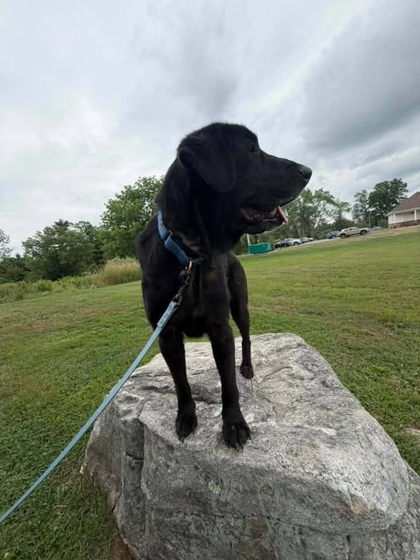 Winston photo