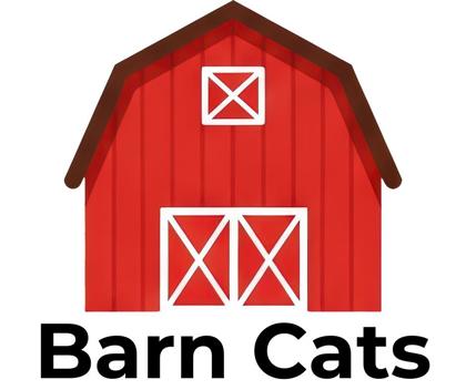 Photo of Barn Cat