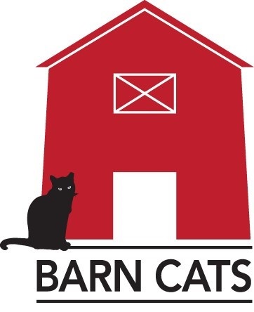 Photo of Barn Cat Jiffy