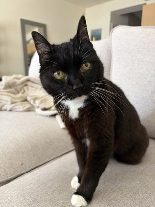 Photo of Raisin