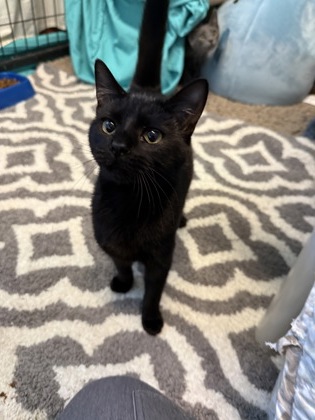 4577409b-296b-4bfb-a0a4-