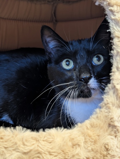 e2222da7-920f-4da0-baaa-