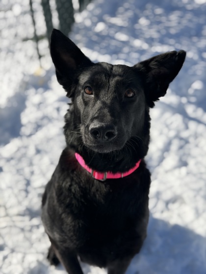 Edith - Foster To Adopt