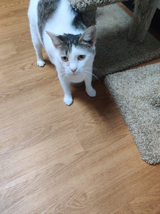 Lily photo 3