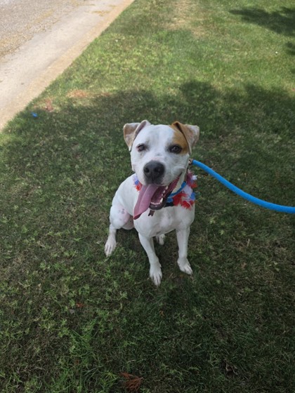 Sammy photo 3