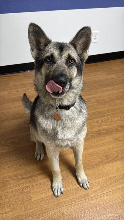 Dax photo