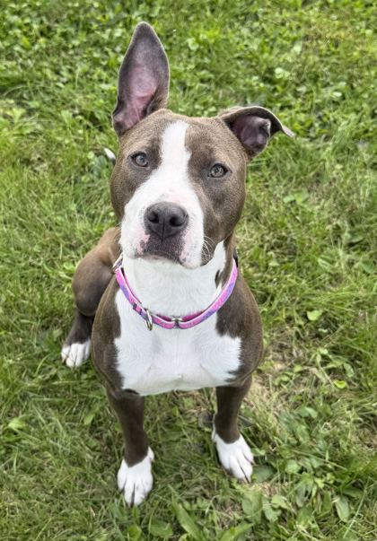 Princess photo 2