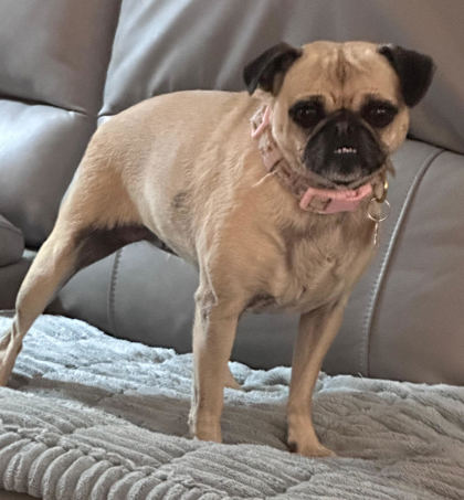 Lucy photo