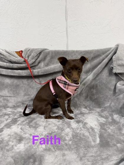 Faith photo