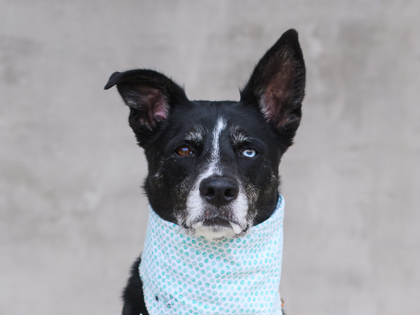 Learn More About Angie Photo of Angie