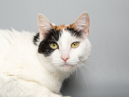 Learn More About Missy Photo of Missy