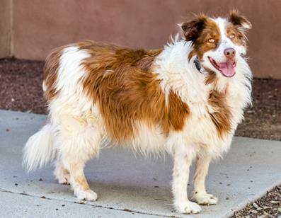 Learn More About Bonita Photo of Bonita