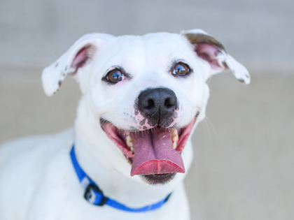 Learn More About Cali Photo of Cali