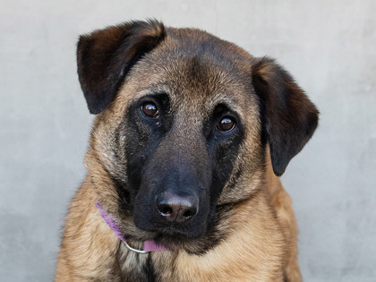 Learn More About Maggie Photo of Maggie