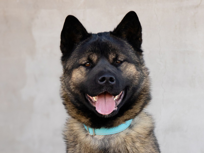 Learn More About Bonnie Photo of Bonnie