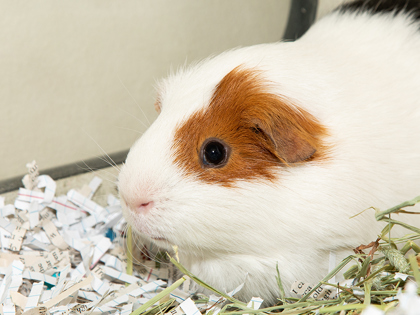 Learn More About Theodore Photo of Theodore