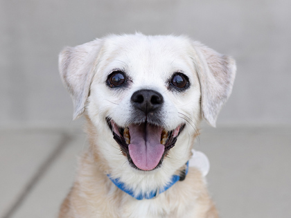 Learn More About Mia Photo of Mia