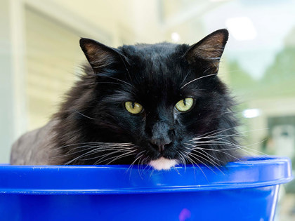 Learn More About Reggie Photo of Reggie