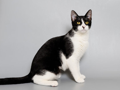 Learn More About Joann Photo of Joann
