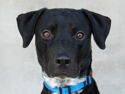 Learn More About Walter Photo of Walter