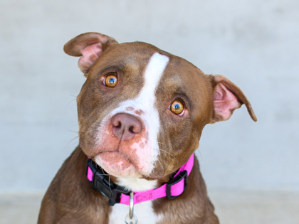 Learn More About Hailey Photo of Hailey