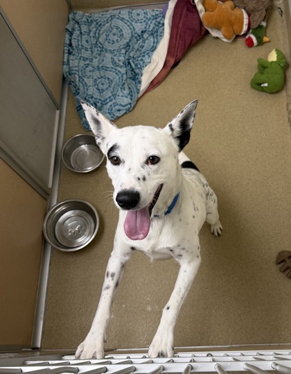 Learn More About Mack Photo of Mack