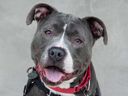 Learn More About Ruby Photo of Ruby