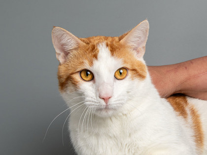Learn More About Moosa Photo of Moosa