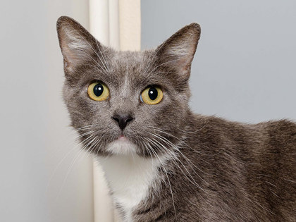 Learn More About Stormy Photo of Stormy