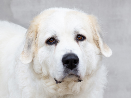 Learn More About Sally Photo of Sally