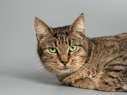 Learn More About Princess Photo of Princess