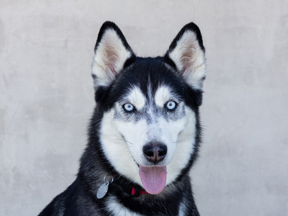 Learn More About Zoe Photo of Zoe
