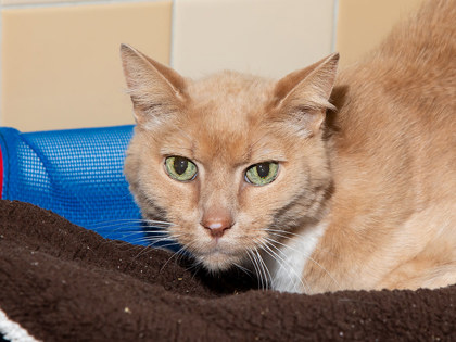 Learn More About Chuck Photo of Chuck