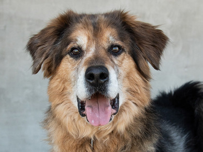 Learn More About Gambit Photo of Gambit