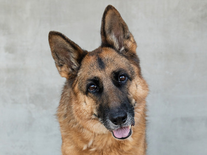 Learn More About Marcy Photo of Marcy