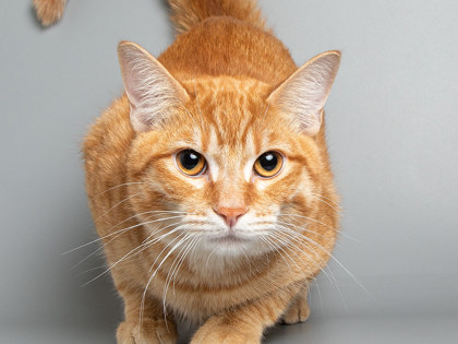 Photo of Brennon