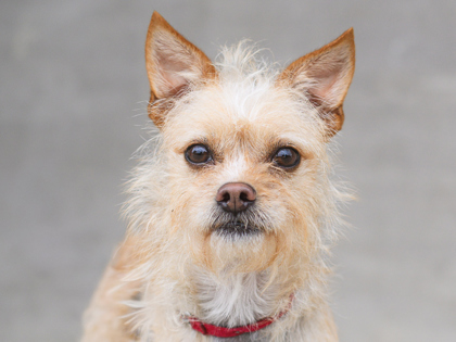 Learn More About Lalo Photo of Lalo