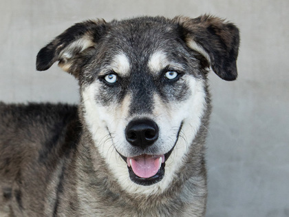 Learn More About Azul Photo of Azul