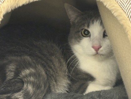 Learn More About Spooky Photo of Spooky